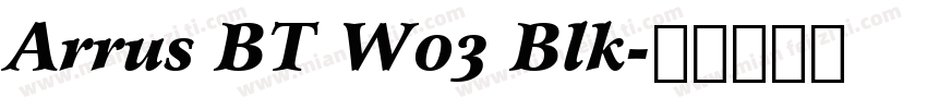 Arrus BT W03 Blk字体转换
